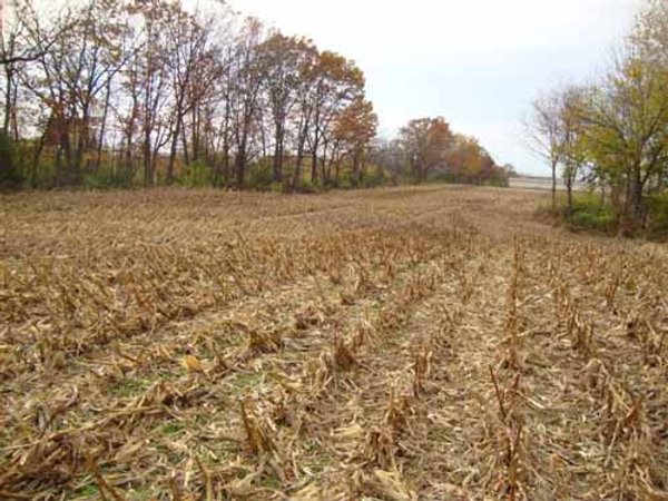 24.8 Acre Absolute Real Estate Auction - Tillable Land with Pond and Woods